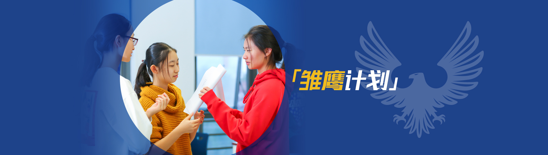 雏鹰计划