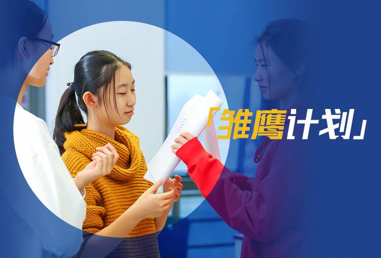 雏鹰计划